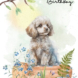 May include: A watercolour painting of a small, white poodle sitting on a log. The dog is surrounded by blue flowers and green ferns. The background is a light green watercolour wash. The text "Happy Birthday" is written in black cursive at the top of the image.