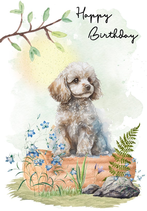 Artery8 Grußkarte 'Floral Poodle' – Blanko-Karte Für Geburtstag, Dank, Glückwunsch, 17,5x12,5 Cm