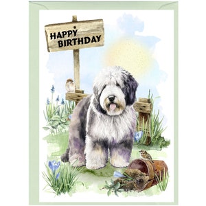 Carte « Joyeux anniversaire » vieux chien de berger anglais (6 x 4 po.) avec enveloppe. Blanc à l'intérieur pour votre propre message. Parfait pour tous les amoureux des chiens