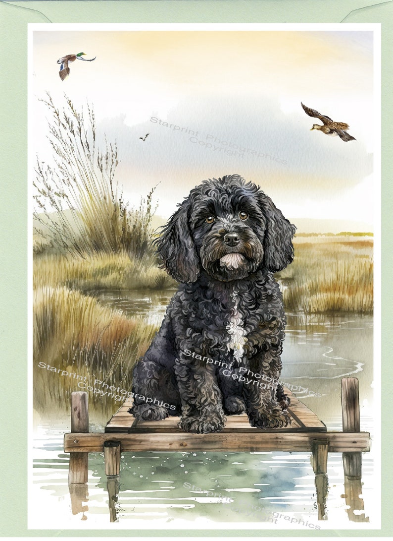 Personalised Cockapoo / Doodle Dog Greetings Card /notelet (6"x 4 ...