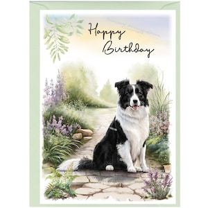 Biglietto "Happy Birthday" per cani Border Collie (6" x 4") con busta - Interno vuoto per il tuo messaggio. Perfetto per ogni amante dei cani