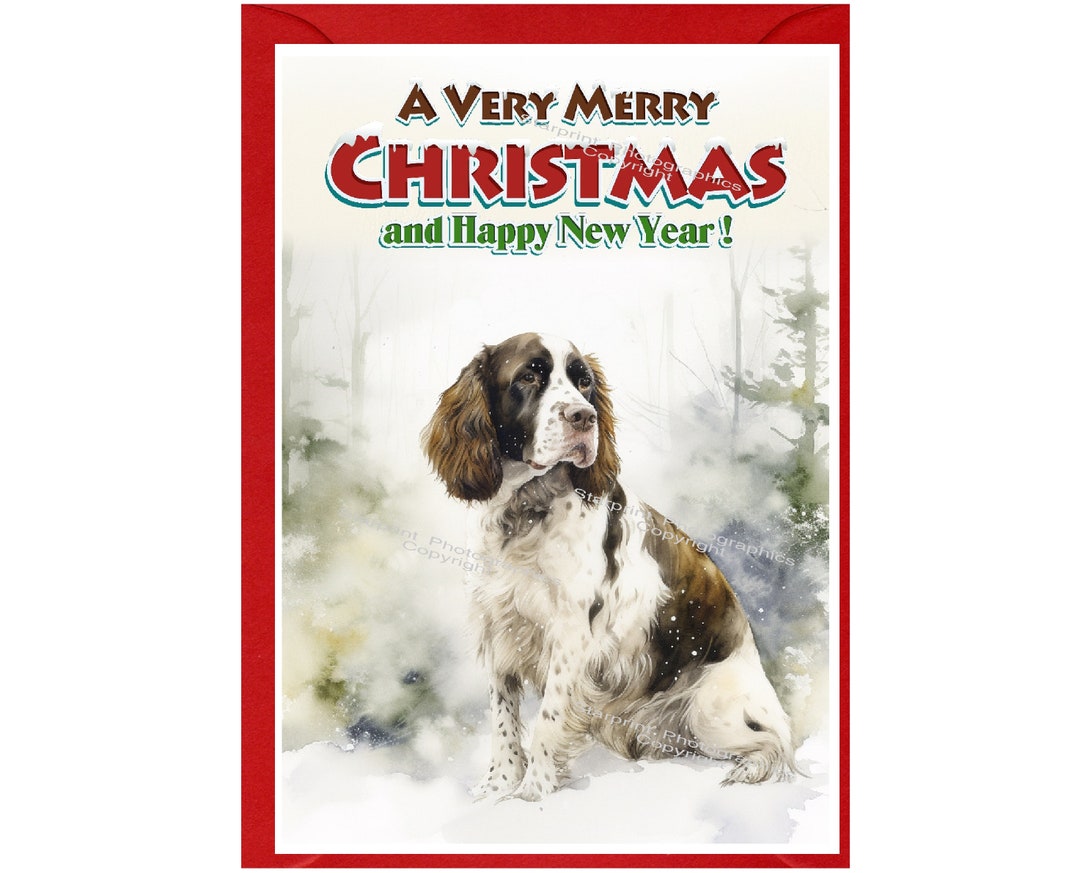 English Springer Spaniel Puppy Dog Christmas Card (6" X 4") Blank ...