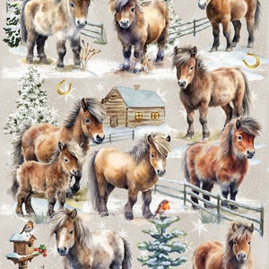 Carta da regalo natalizia con motivo "Shetland Pony Horse". Perfetta per ogni amante dei cavalli. Rendi il tuo regalo ancora più speciale.