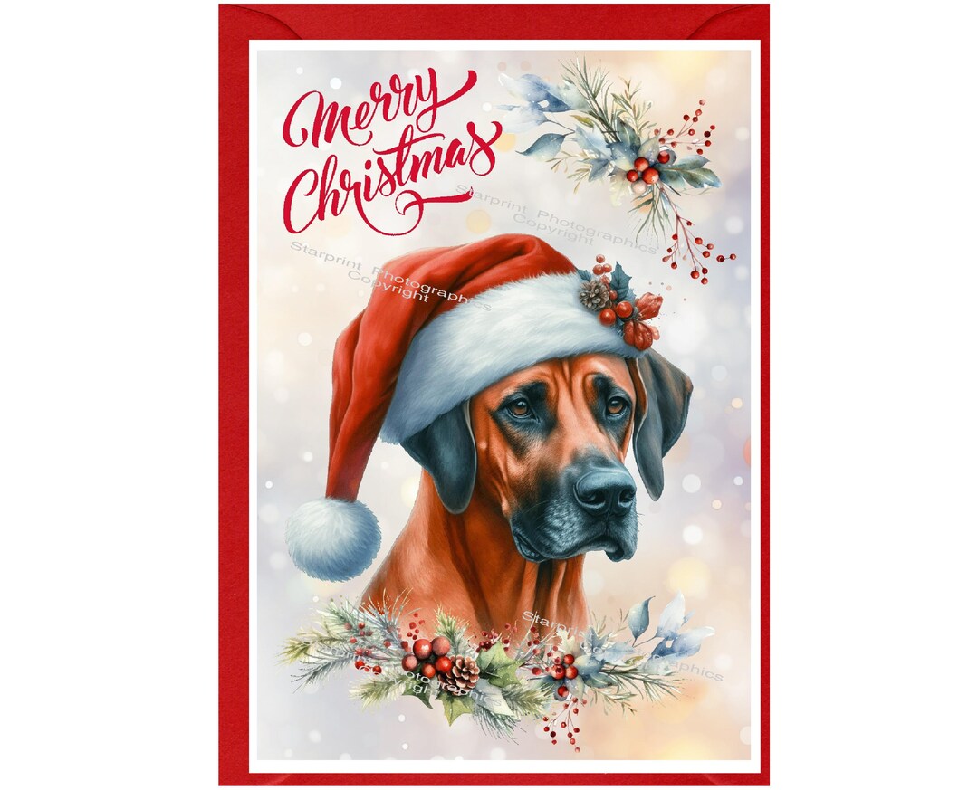 Rhodesian Ridgeback Dog Christmas Card (6