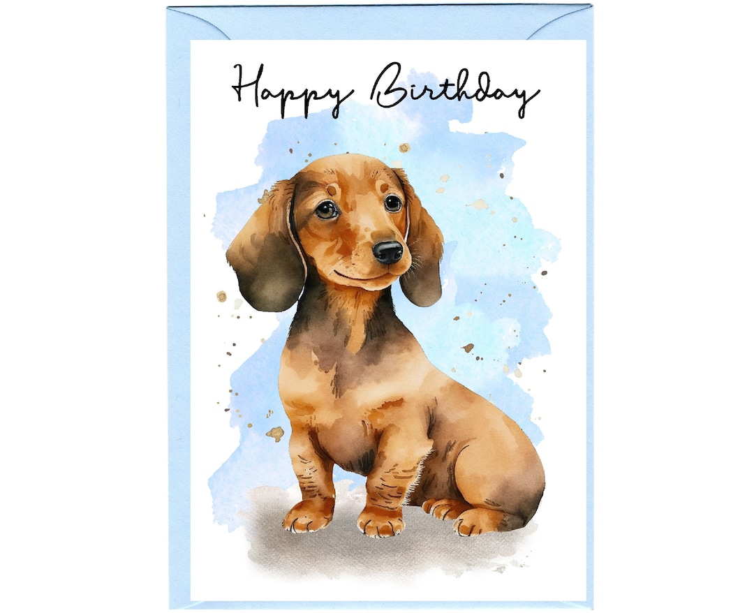 Carte D'anniversaire Teckel (poil Dur), Carte De Voeux Amusante Pour Chien, 6 X 6 Po, Blanc à L'intérieur