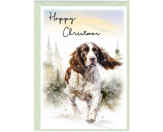 クリスマス 飾り |English Springer Spaniel Dog クリスマス English Springer Spaniel Dog M クリスマス」のアイデア 54 件 | クリスマス, ステンドグラス