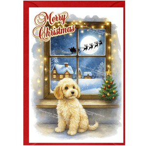 May include: A festive Christmas card with a red border. It depicts a light-brown dog sitting by a window, looking out at a snowy scene with Santa's sleigh. The words "Merry Christmas" are written at the top.