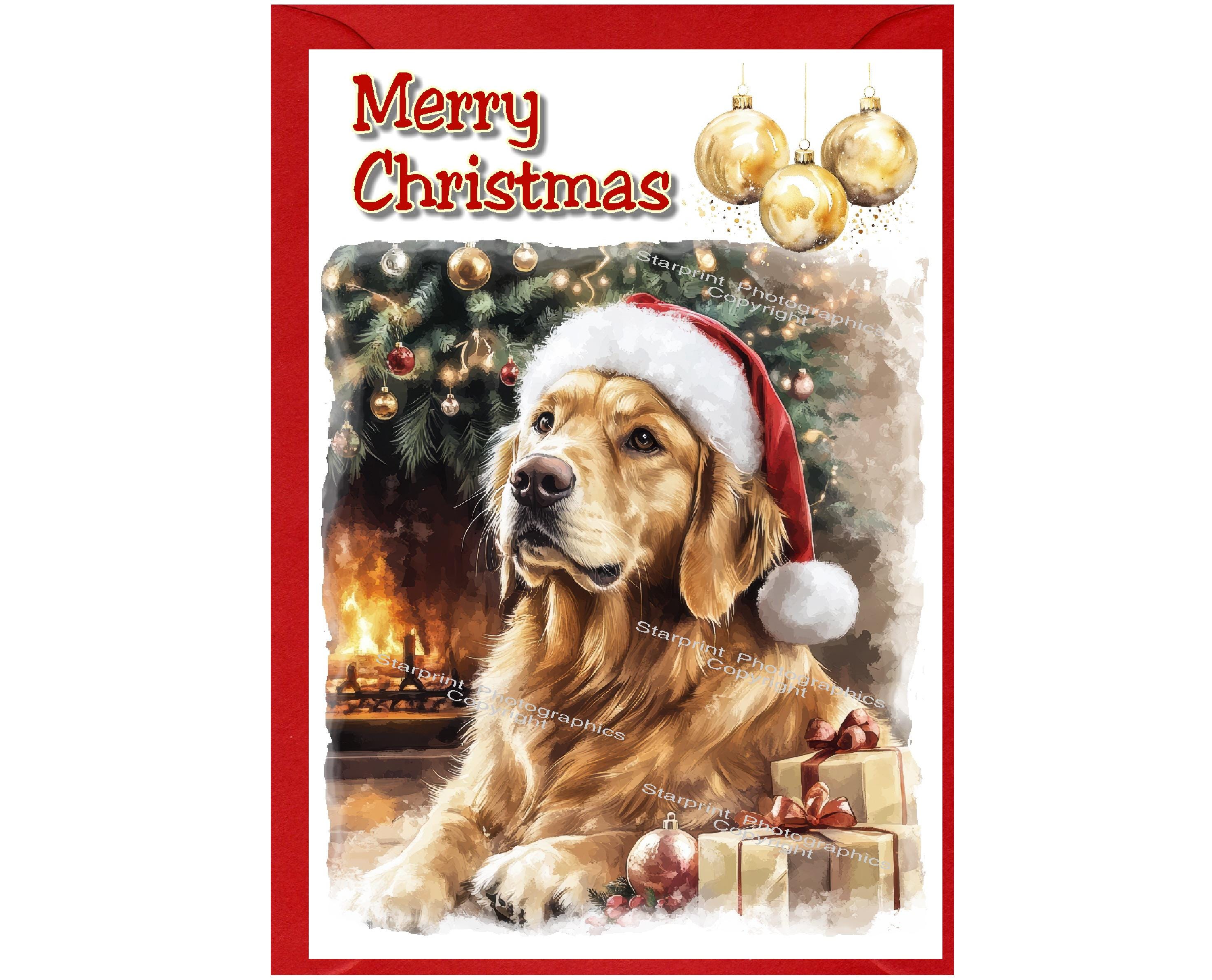 グリーティングカード　手紙　レター　ヴィンテージ 松ぼっくり　クリスマス　犬 il_fullxfull.6983563780_96c6.jpg