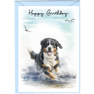 Biglietto "Happy Birthday" con Bovaro del Bernese (6" x 4") con busta - Interno vuoto per il tuo messaggio. Perfetto per ogni amante dei cani.