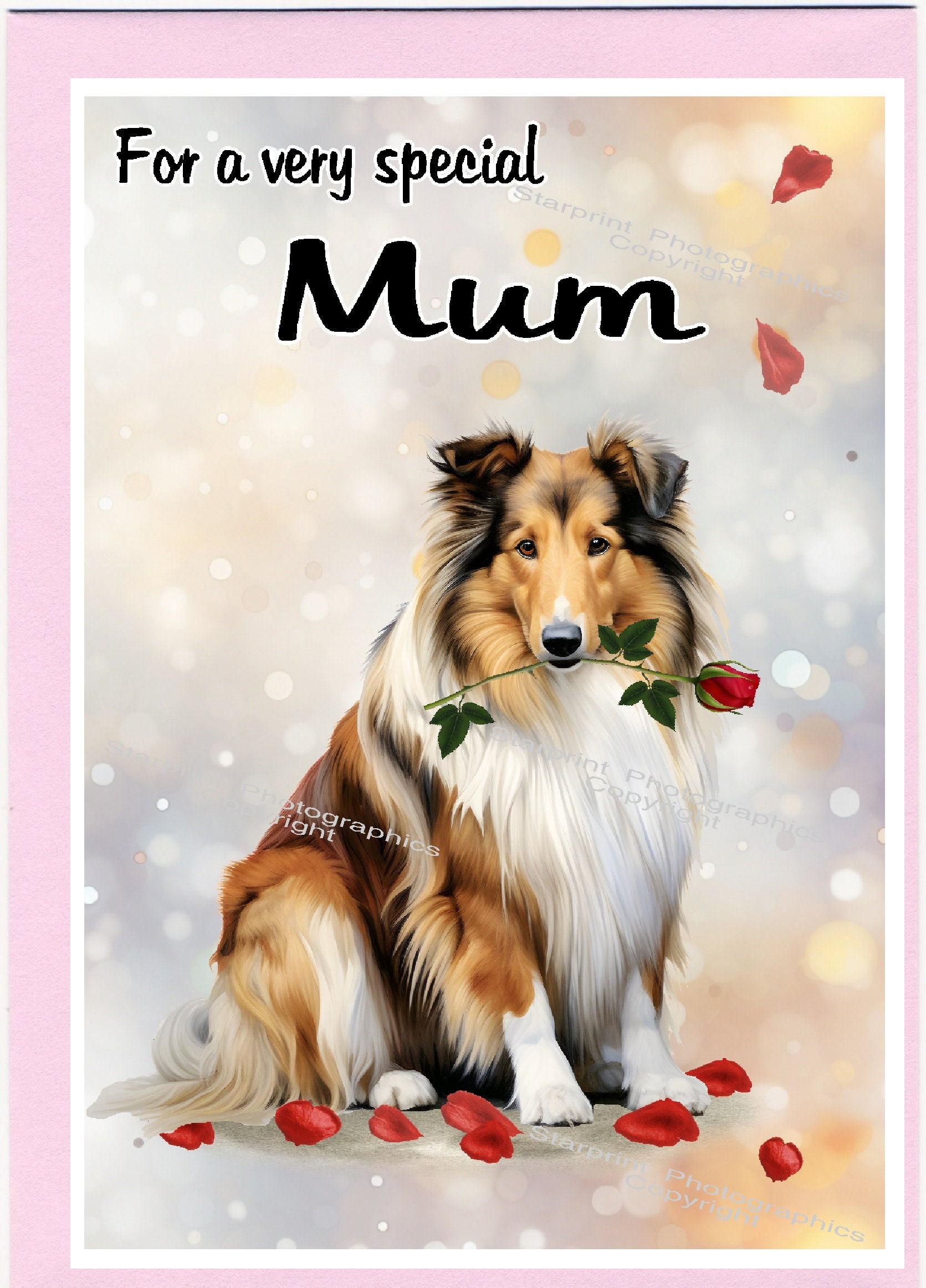 Collie専用購入ページ il_fullxfull.5716099868_bjzl.jpg