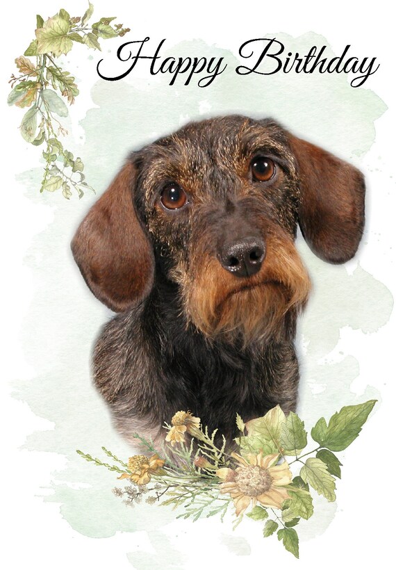 Dackel Happy Birthday Banner – Bunt, 25x25 Cm – Für Hunde-Geburtstagspartys – Vorgedehnt, Wiederverwendbar – Welpen Deko