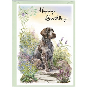 Carte « Joyeux anniversaire » chien d'arrêt allemand à poils durs (6 x 4 po.) avec enveloppe. Blanc à l'intérieur pour votre propre message. Parfait pour tous les amoureux des chiens