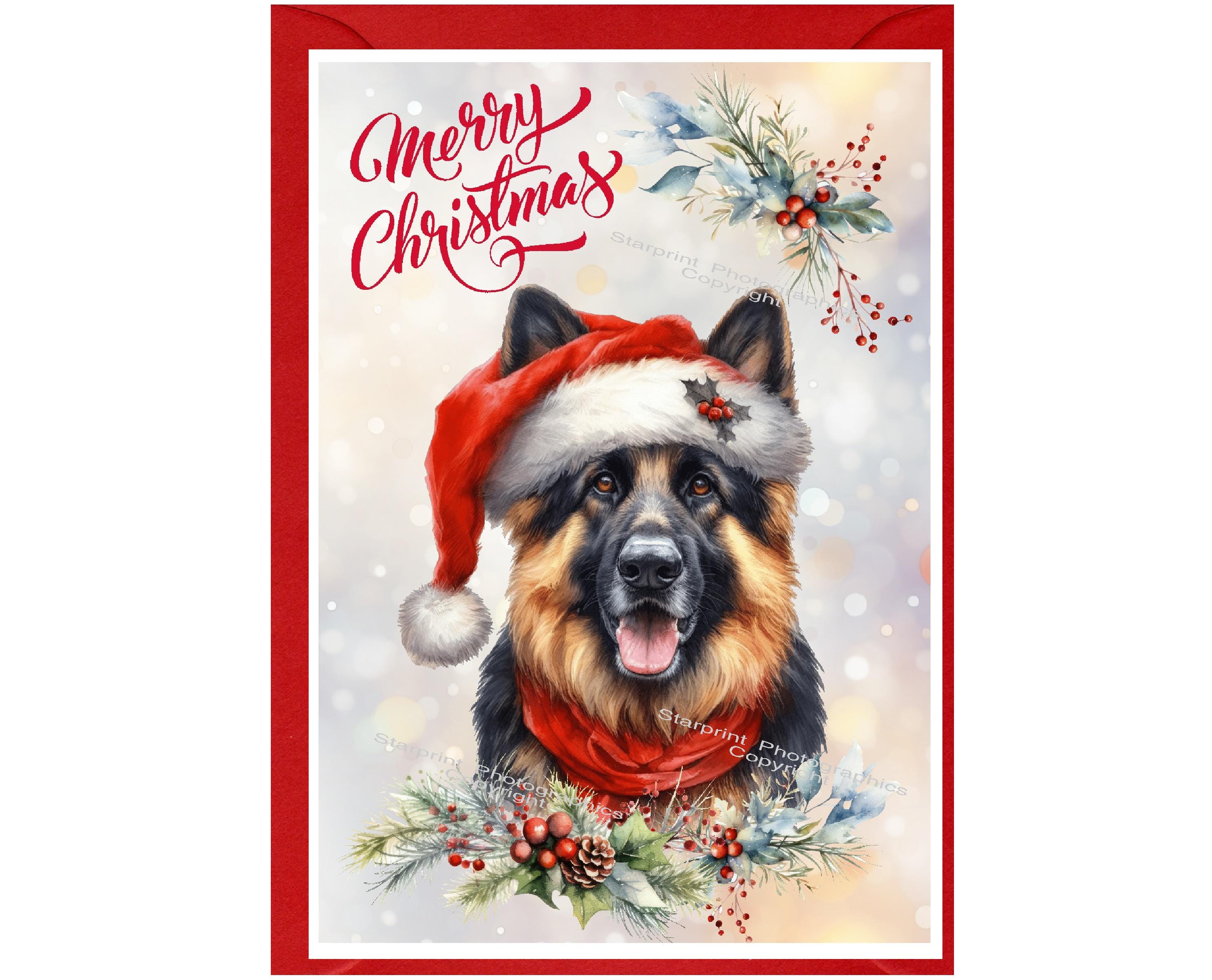 ・Germanshepherd・１９７４〜・１６×２０・ Copen・ German Shepherd Dog Christmas Card (6
