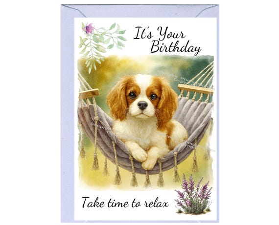 Invito Di Buon Compleanno Cucciolo. Cane Divertente Sul Biglietto D Auguri Con Palloncini Isolato 81894 2703