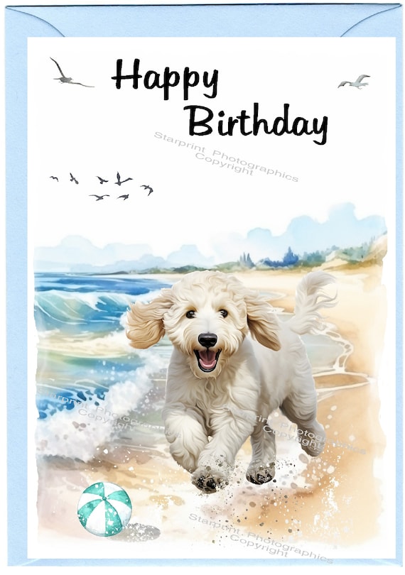 Biglietto Di Auguri Con Cane Cockapoo E Giardino - Per Compleanno Donna, Con Dettagli Argentati E Busta Inclusa