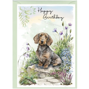 Tarjeta "Feliz cumpleaños" de perro con pelo de alambre Dachshund (6" x 4") con sobre - Interior en blanco para su propio mensaje. Perfecto para cualquier amante de los perros.