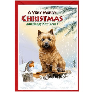 Norwich Terrier-Weihnachtskarte, 15 x 10 cm, innen leer - mit Umschlag.  Perfekter Artikel für jeden Hundeliebhaber