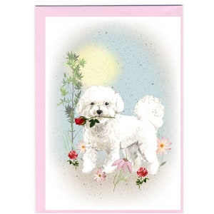 Tarjeta en blanco para perros Bichon Frise /Notelet (6" x 4") con sobre - Día de la Madre, San Valentín, Cumpleaños, etc. Artículo perfecto para cualquier amante de los perros