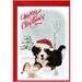 Cavapoo / Doodle Dog Christmas Card 6 X 4 Blank - Etsy