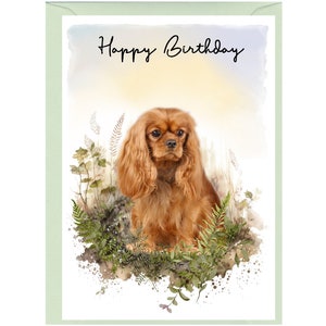 Cavalier King Charles Spaniel (Ruby) Hund "Happy Birthday" -Karte (6 "x 4"") mit Umschlag - Leer für Ihre eigene Nachricht."