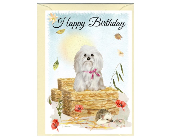 Biglietto Compleanno Shih Tzu Carino - 145x145mm Con Busta, Carta Riciclata - 3