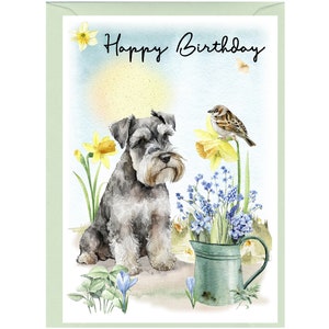 Biglietto di auguri "Happy Birthday" per cane Schnauzer in miniatura (6" x 4") con busta - Interno vuoto per il tuo messaggio. Perfetto per ogni amante dei cani