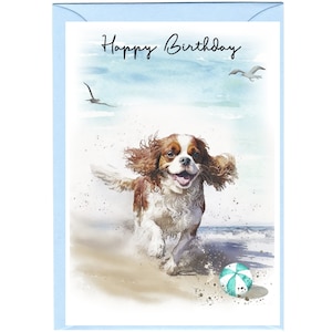 Biglietto "Happy Birthday" per cani Cavalier King Charles Spaniel (Blenheim) (6" x 4") con busta - Interno vuoto per il tuo messaggio.