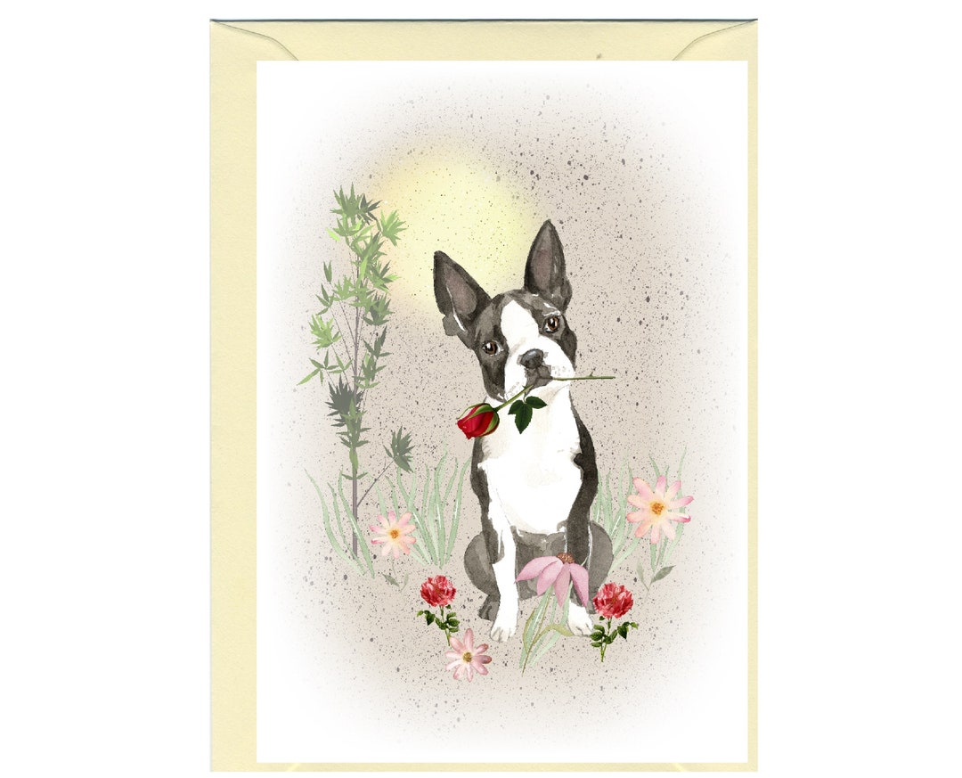 Boston Terrier Dog Blank Card /notelet (6" X 4") With Envelope - Ideal ...
