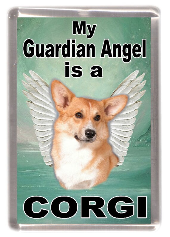 Shetland Sheepdog/Sheltie Dog Fridge Magnet "Silence is Golden .." by Starprint Shetland Sheepdog/Sheltie Dog Fridge Magnet "Silence is Golden .." by Starprint