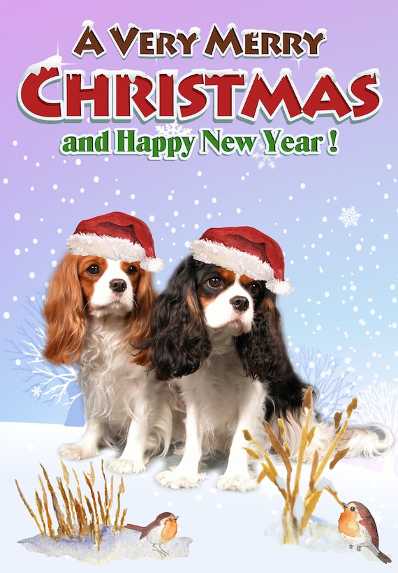 Biglietto Di Natale Per Pronipote Speciale – Cane E Gattino Snowboard Con Lamina E Glitter – Fatto In UK