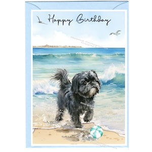 Carte « Joyeux anniversaire » chien Shih Tzu (6 x 10 cm) avec enveloppe - vierge à l'intérieur pour votre propre message. Parfait pour tous les amoureux des chiens