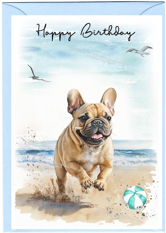 Biglietto Auguri Compleanno Con Bulldog Francese – Formato 145x145 Mm – Carta Riciclata