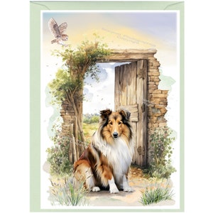 Biglietto d'auguri/notelet personalizzato per cani Rough Collie (6" x 4") con busta. Se si preferisce, la scheda può essere lasciata vuota