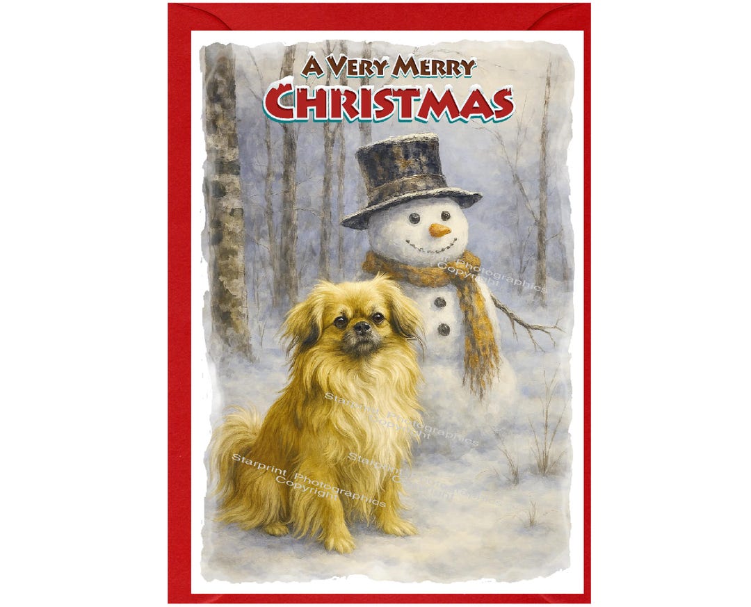 Tibetan Spaniel Dog Christmas Card (6" X 4") Blank Inside - With ...