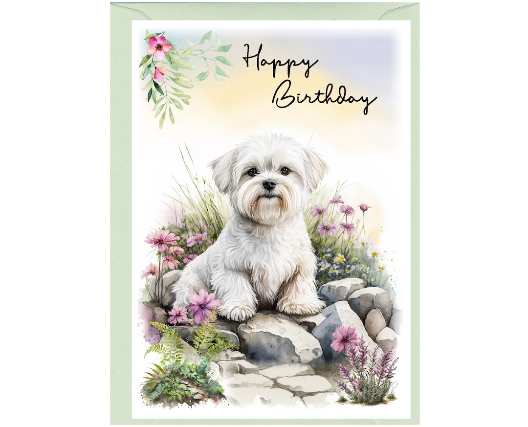 Maltese Dog happy Birthday Card 6x 4 With Envelope. Blank Inside for ...