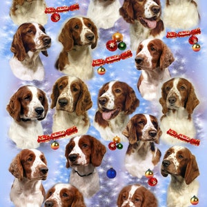 May include: A festive Christmas-themed image featuring a collection of Welsh Springer Spaniel dogs wearing Santa hats and surrounded by Christmas ornaments and candy canes.