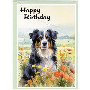 "Geburtstagskarte ""Happy Birthday"" mit australischem Schäferhund und Umschlag." Leer innen für Ihre eigene Nachricht. Perfekt für jeden Hundefreund