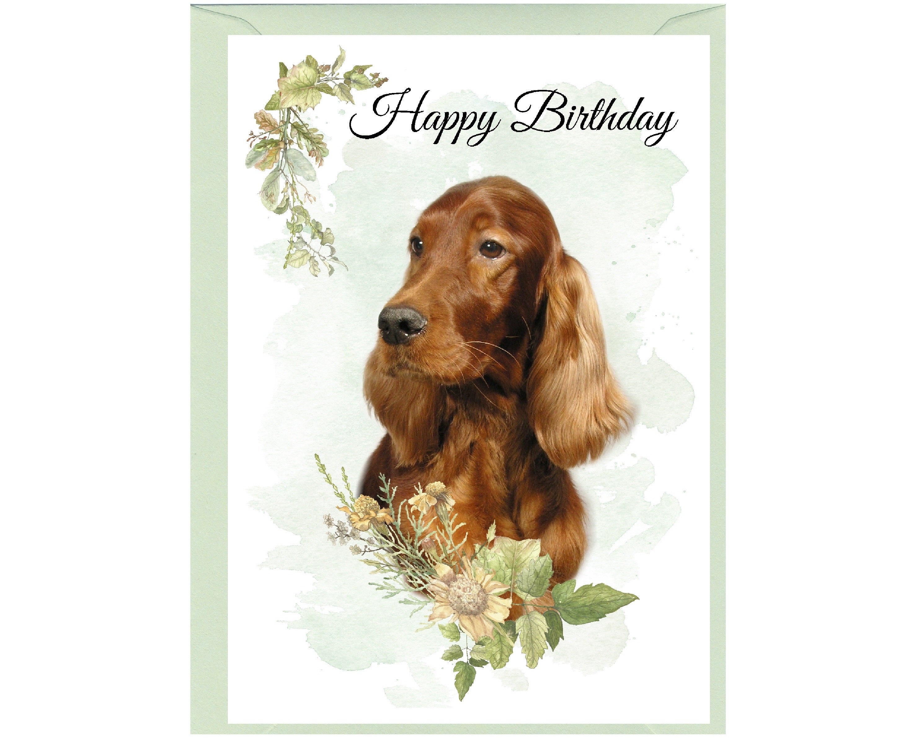 Peat Birthday PhotoCard ★サイン入り1枚+サインなし5枚 Irish Red Setter Dog 