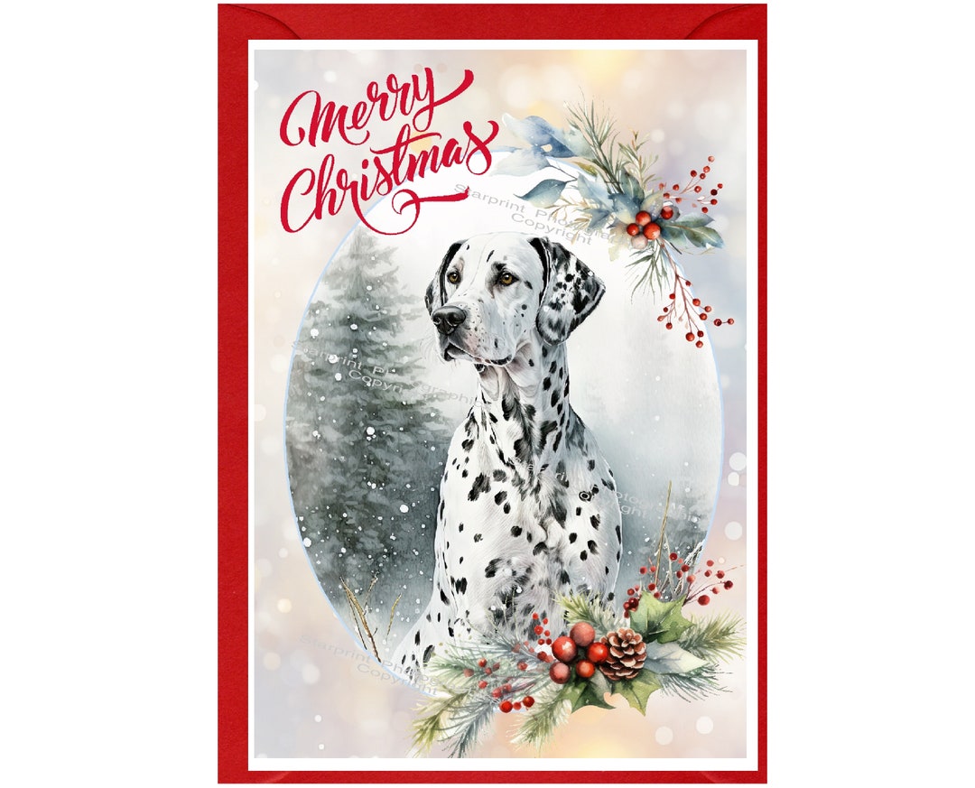 Dalmatian Dog Christmas Card (6" X 4") Blank Inside - With Envelope ...