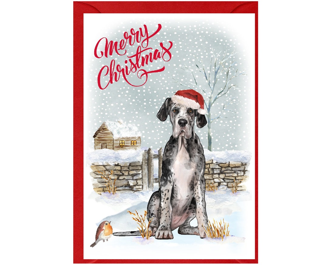 Great Dane Dog Christmas Card (6" X 4") Blank Inside - With Envelope ...