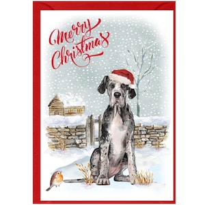 Carte de Noël chien dogue allemand (6 x 4 po.) vierge à l'intérieur - avec enveloppe. Article parfait pour tous les amoureux des chiens