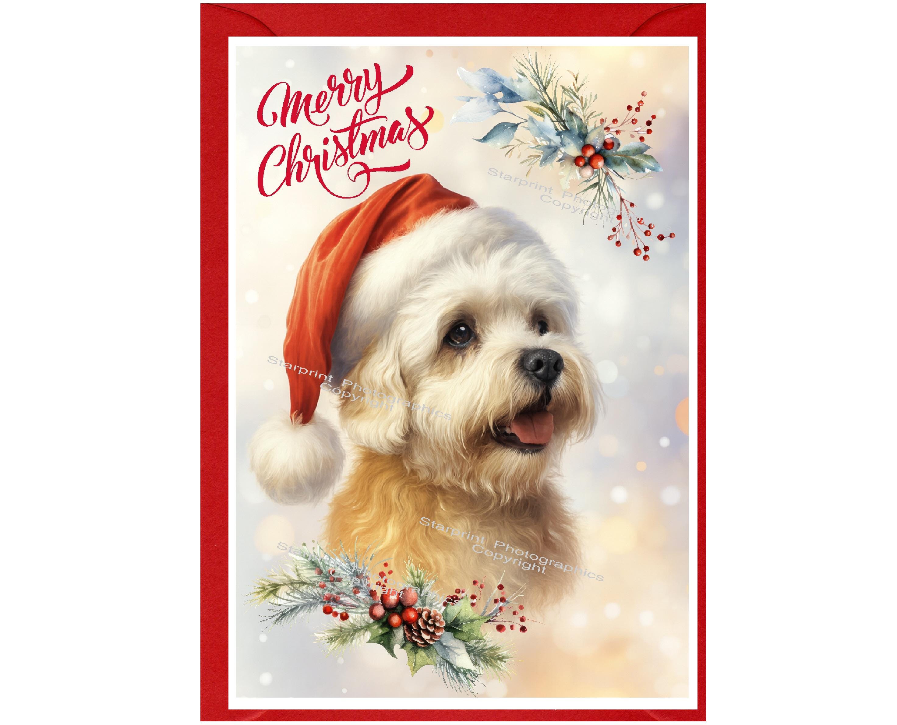 ダンディ・ディンモント・テリアのクリスマスカード（6インチ×4インチ
