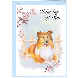 Carte « Je pense à vous » Chien de berger Shetland / Sheltie (6 x 4 po.) avec enveloppe - Vierge à l'intérieur pour votre propre message. Parfait pour tous les amoureux des chiens