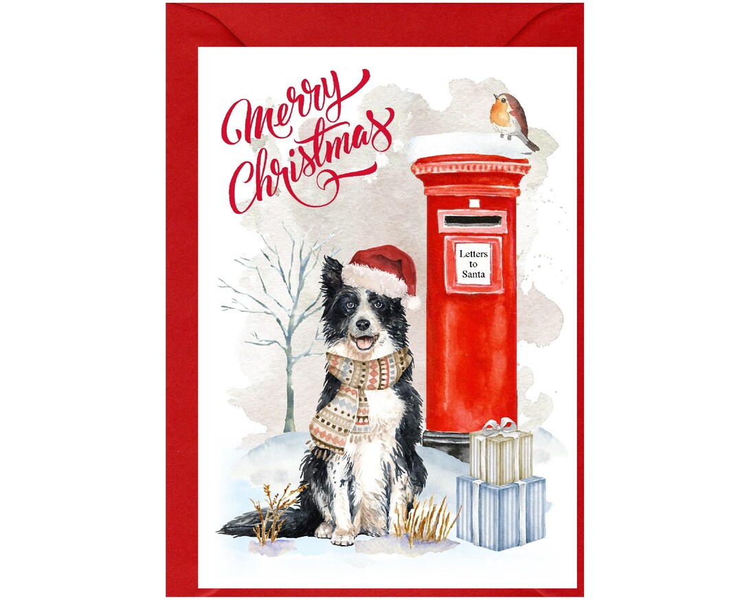 Border Collie Dog Christmas Card (6" X 4") Blank Inside - With Envelope ...