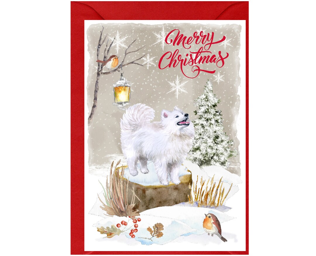Samoyed Dog Christmas Card (6" X 4") Blank Inside - With Envelope ...