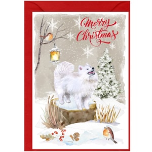 Carte de Noël chien Samoyède (6 x 4 po.) vierge à l'intérieur - avec enveloppe.  Article parfait pour tous les amoureux des chiens