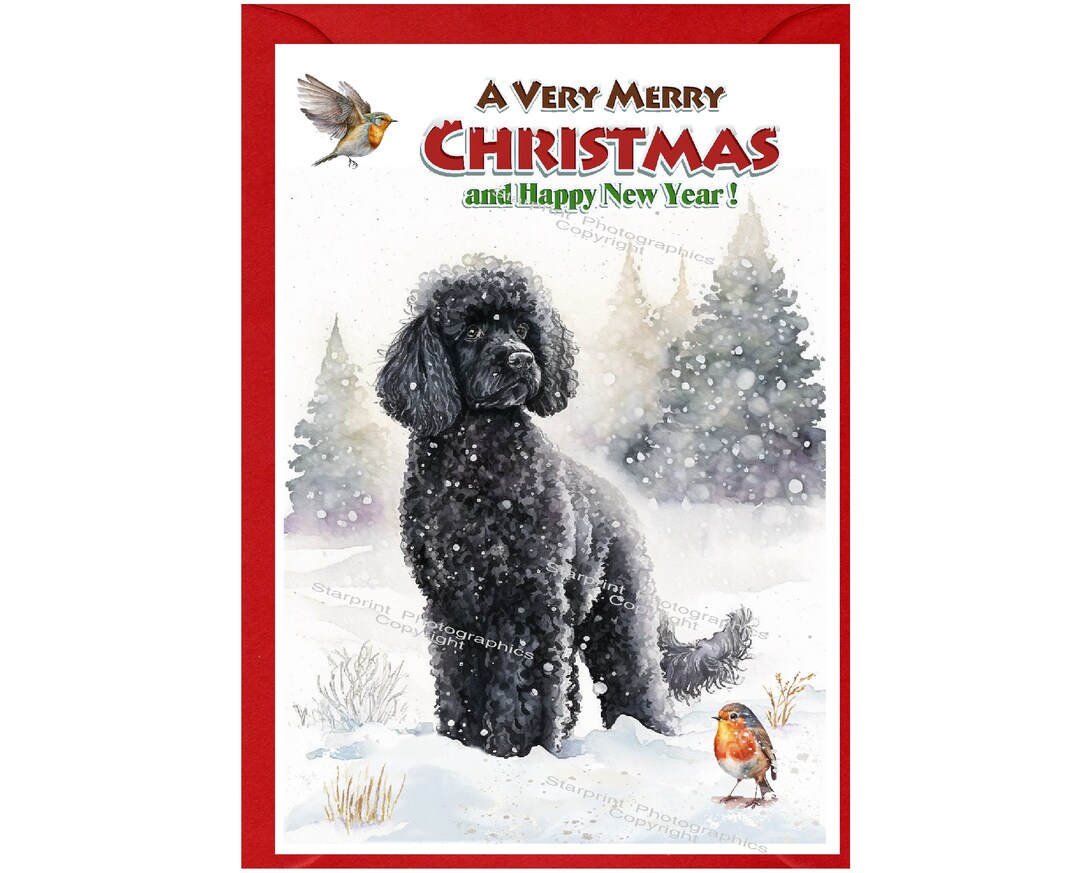 Poodle (black) Dog Christmas Card (6" X 4") Blank Inside - With ...