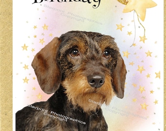 Carte De Voeux Avec Un Teckel Mignon Avec Une Affiche D'anniversaire De