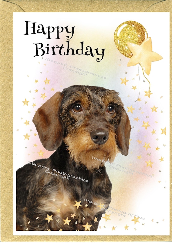 Noel Tatt Biglietto di auguri per compleanno, divertente, per uomo/donna, motivo: cane salsiccia con occhiali da sole sulla spiaggia, ecologico e riciclabile