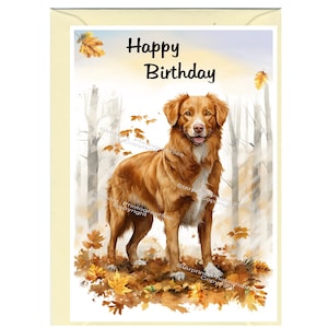 Nova Scotia Duck Tolling Retriever Dog / Toller &quot;Happy Birthday&quot; Card (6&quot;x 4&quot;) with Envelope. Blank inside for your own message.